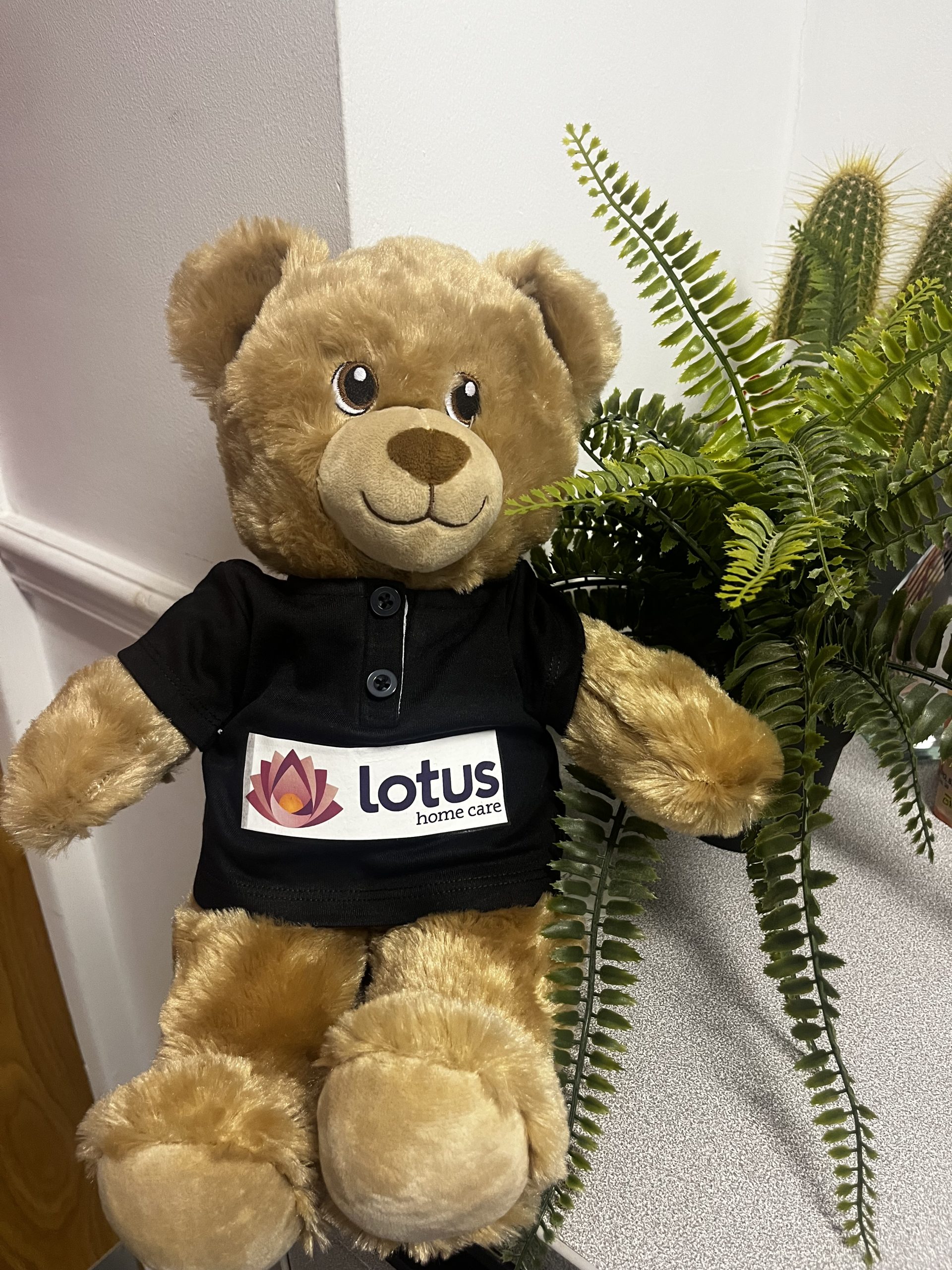 Meet the Lotus Care Bear – Our New Mascot!